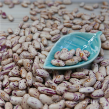 2015 new crop,long/round type Best Light Speckled Kidney Beans